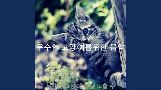 아름다운 장소 기악