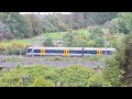 Train Spotting From Kepa Bush Reserve In Auckland New Zealand