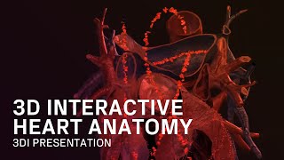 3D Interactive Heart -  Interactive Medical Presentation