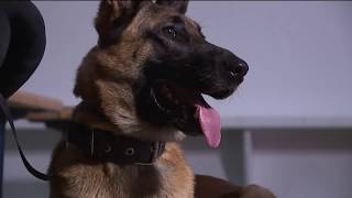 Mantua police reinstates K-9 program amid drug crisis