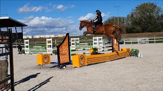 Colin, La Capa R, Letizia - their first waterjumps (october 2020)