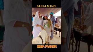 ਰਾਜੂ ਨੇ ਤਾਂ ਸਿੱਧਾ ਹੀ ਕਹਿਤਾ ਬਾਬਿਅਓ ਨੂੰ , #reels #shorts #viralvideo  #goat