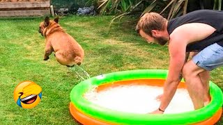 Funniest Cats And Dogs Videos - The Best Animal Videos 2022 😇