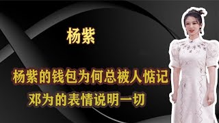 杨紫的钱包为何总被人惦记？邓为的表情说明一切，张晚意恋恋不忘