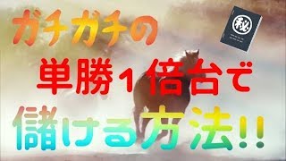 競馬で圧倒的一番人気を使って稼ぐ簡単馬券術を公開！【競馬シリーズ】