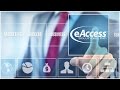 eAccess DTC eCommerce Solutions
