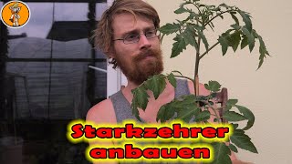 Beete für Starkzehrer vorbereiten | Orangenschalen schnell kompostieren