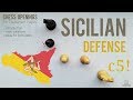 Sicilian Defense (introduction, ideas & variations) ⎸Chess Openings