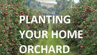 PLANTING YOUR HOME ORCHARD (REPEAT 1-5-18) | LIVESTREAM