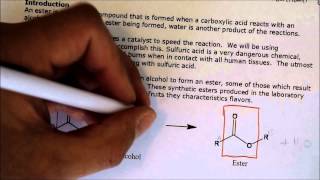 Organic Chem Lab - Ester Synthesis