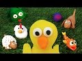 Aprender los colores con animales - Cuentos infantiles en español