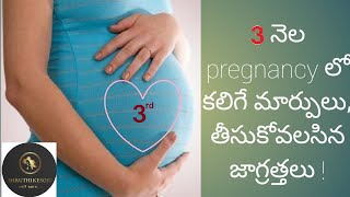 3 నెల pregnancy లో కలిగే మార్పులు, తీసుకోవలసిన జాగ్రత్తలు!