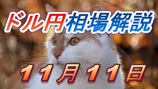 【TAKA FX】ドル円為替相場の前日の動きをチャートから解説。日経平均、NYダウ、金チャートも。11月11日