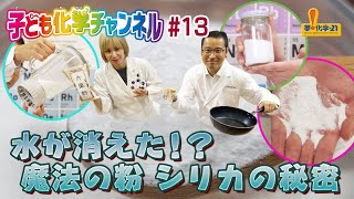 【化学実験#13】水が消えた!? 魔法の粉 シリカの秘密（協力：エボニック ジャパン株式会社）