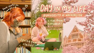 college life vlog 🌸☔️ spring classes, cherry blossoms, & tips from a UW student!
