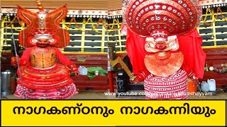 Nagakandan And Nagakanni || നാഗകണ്ഠനും നാഗകന്നിയും || Theyyam || തെയ്യം || Theyyam 395