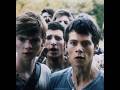 #themazerunner - woah i’ve been on youtube for over three WHOLE years