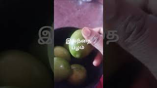 இலந்தை பழம் #jujubeapple#cooking #nature#recipe