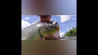 Surface Fishing for Carp, and High Building Tips all Available in Episode 9