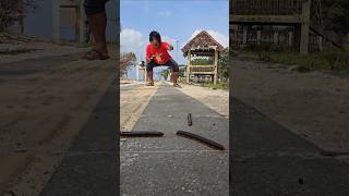 I was stopped by a herd of millipedes on the road #shorts #shortvideo #viralvideo