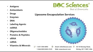 What is Liposome Encapsulation? - Liposomal Technology - BOC Sciences