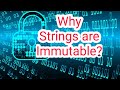 #101 - Why Strings are Immutable in Java