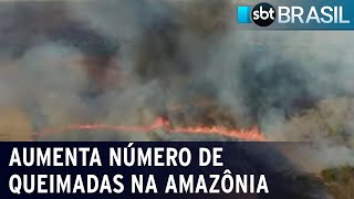 Queimadas na Amazônia aumentam quase 14% | SBT Brasil (01/08/22)