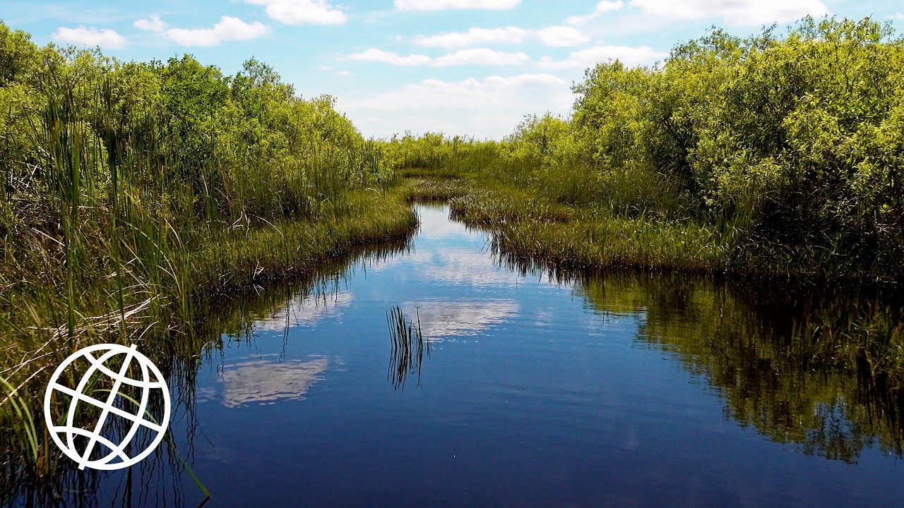 Everglades National Park Florida Usa Amazing Places 4k Youtube