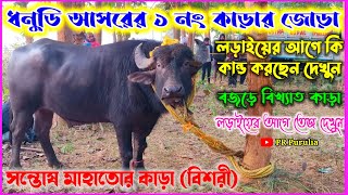 ২৪ শা অগ্ৰহায়ন🔥ধনুডি আসরের ১নং কাড়ার জোড়া♨️সন্তোষ মাহাতোর কাড়া💥 লড়াইয়ের আগে কাড়াটির তেজ দেখুন