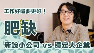 要賭發展性還是先求高起薪？新銳小公司vs穩定大企業，肥缺二選一！【CC字幕＋4K】