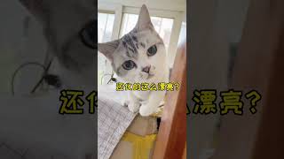 猫咪真的不认主人吗？