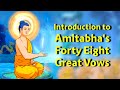 Why Should We Believe in What Sutras Say?  Pure Land Buddhism—Amitabha's Forty Eight Great Vows