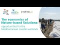 The Economics of Nature-based Solutions: opportunities for Mediterranean coastal wetlands [2/3]