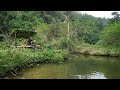 2 Days solo survival CAMPING by the Stream, Bushcraft Survival Shelter. Fish Trap, Catch and Cook