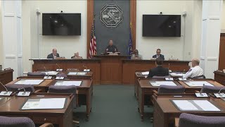 Cheektowaga police chief speaks at EC Legislature on migrants