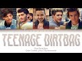 one direction teenage dirtbag color coded lyrics