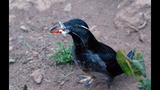 野鳥観察ルート【北海道るもい地域ここ路旅】