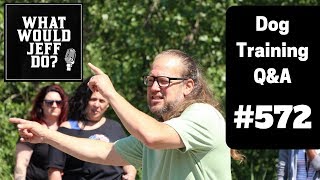 Dog Training - Leash Reactive Dog - Training Mal Dogs - What Would Jeff Do? Q&A  Ep.572 (2019)