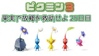 【ピクミン3】果実で故郷を救助せよ！ 25日目【実況】