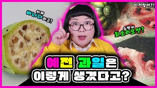 [이거알아?!-과일]이게 과일의 원래 모습이라고?🍇🍉🍌보고도 믿지 못할 과일의 이거알아!