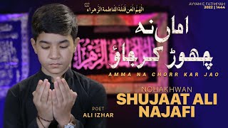 Amma Na Chorr Kar Jao | Shujaat Ali Najafi | Noha Bibi Syeda s.a. | Nohay 2022