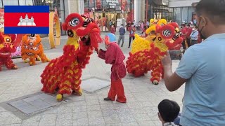 Lion dance for Chinese New year 2022.