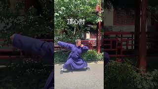 老铁们要八极拳教学 #八极拳