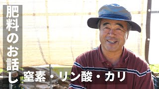 【肥料のお話し】窒素、リン酸、カリ、肥料三要素の解説です。(宮崎県)