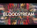 The Chainsmokers - Bloodstream (Lyrics)