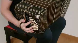 Bandoneon 3B Art Deco Meinel\u0026Herold Zinkplatten eBay