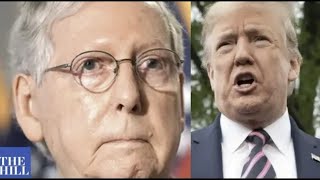 Mitch McConnell responds to Trump's 'son of a b---h' comment