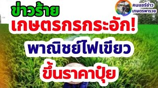 แจ้งข่าวร้าย เกษตรกรกระอัก พาณิชย์ไฟเขียวปรับขึ้นราคาปุ๋ย