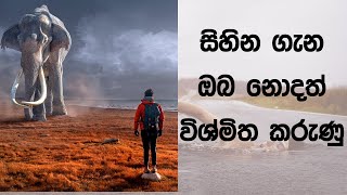 සිහින ගැන ඔබ නොදත් කරුණු