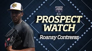 Roansy Contreras | New York Yankees Prospect (2019)